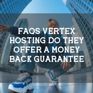 Vertex Hosting FAQs Banner