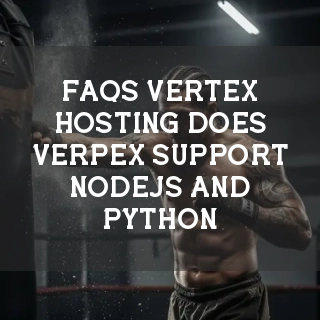 Vertex Hosting FAQs Banner