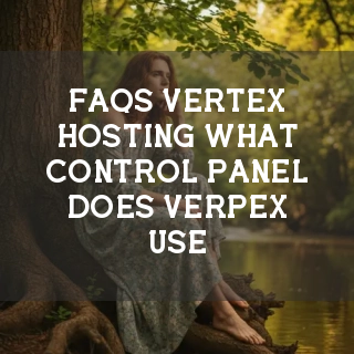 Vertex Hosting FAQs Banner