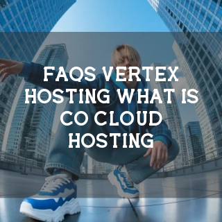 Vertex Hosting FAQs Banner