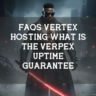 Vertex Hosting FAQs Banner